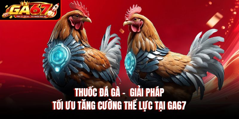 Thuốc Đá Gà – Giải Pháp Tối Ưu Tăng Cường Thể Lực Tại GA67